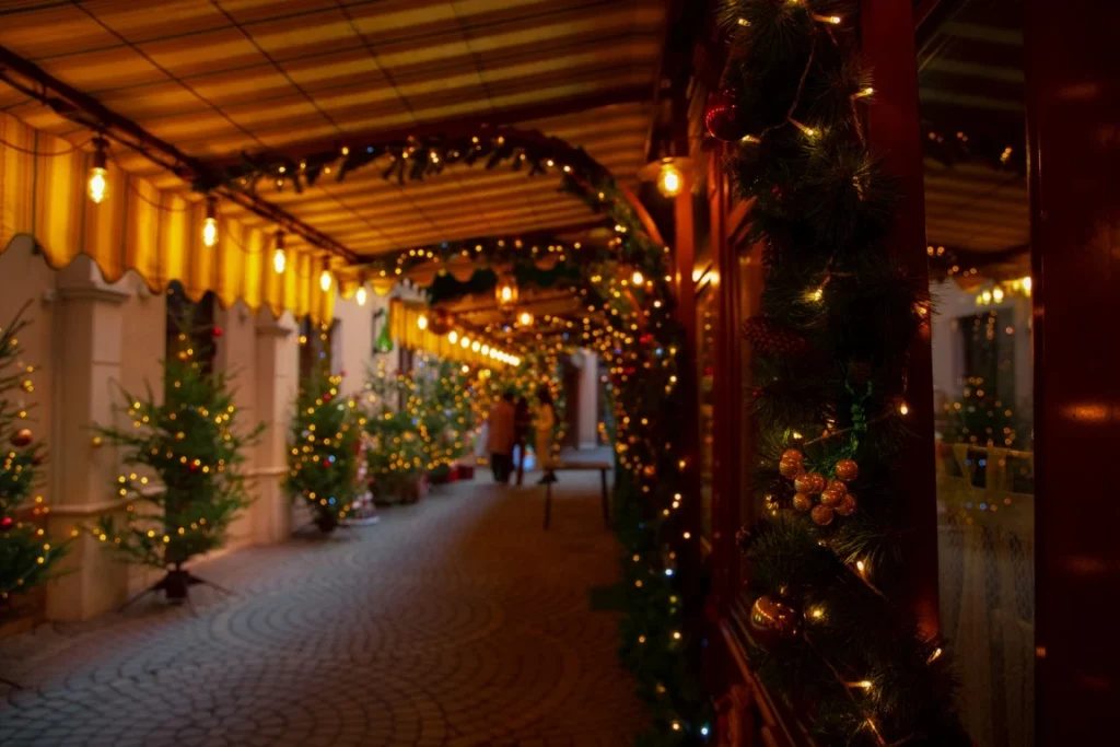 Holiday Light Installation, Colorado Springs